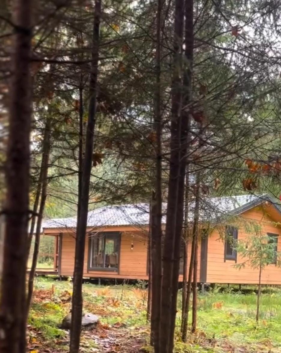 Чорногірський двір House in Ukraine