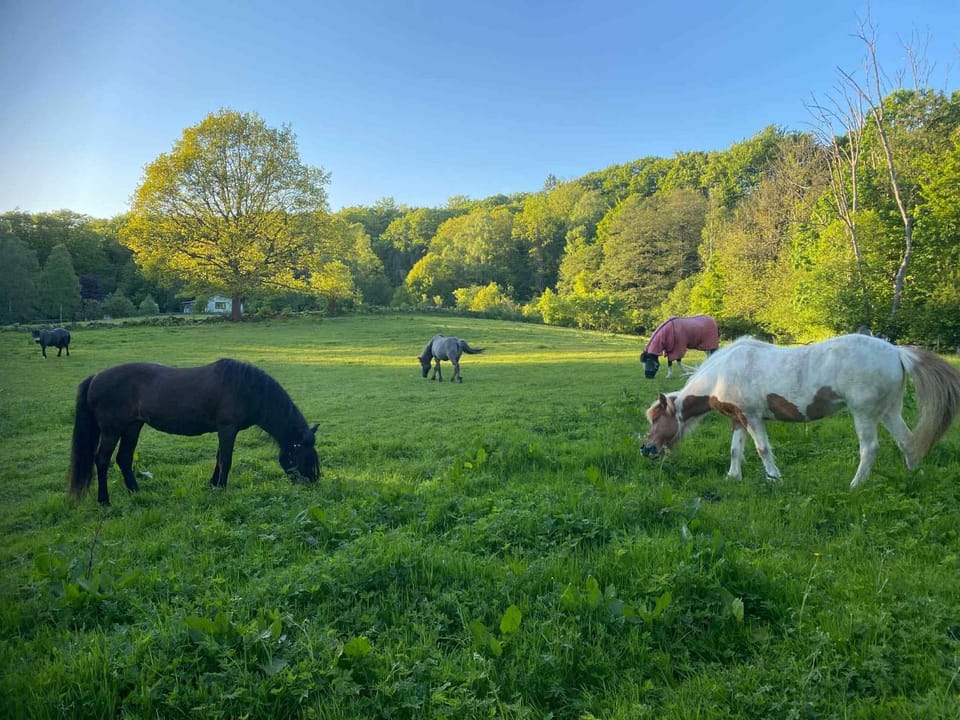 Horse-riding