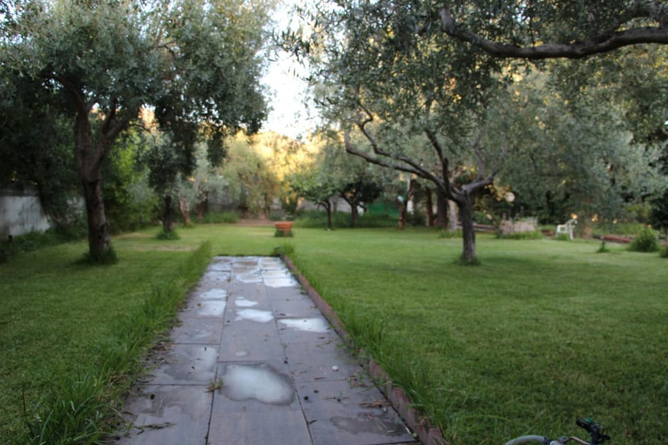 La Casa Dell'antiquario Country House in Sicily