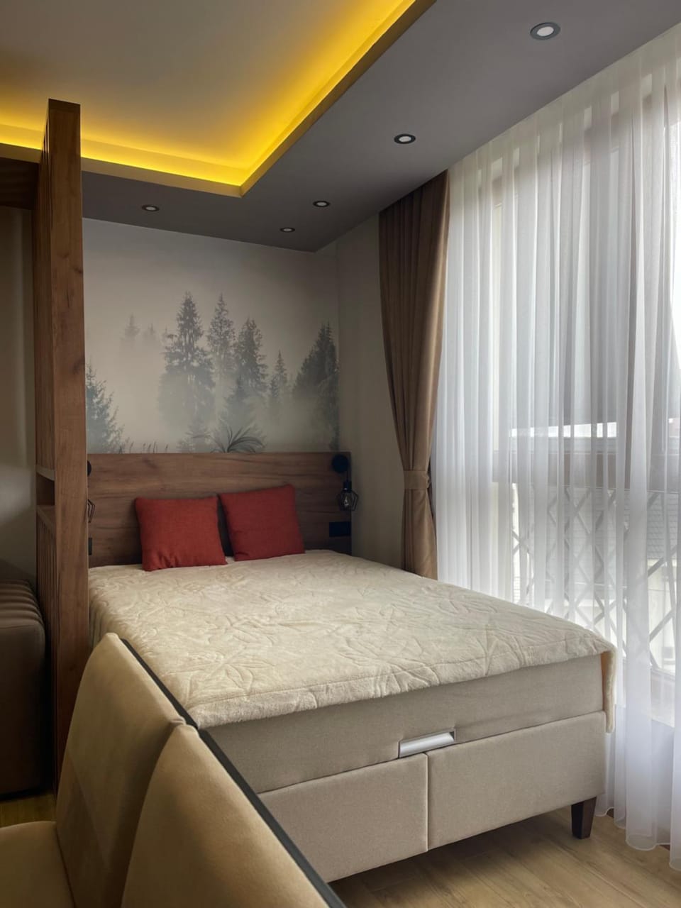 Photo of the whole room