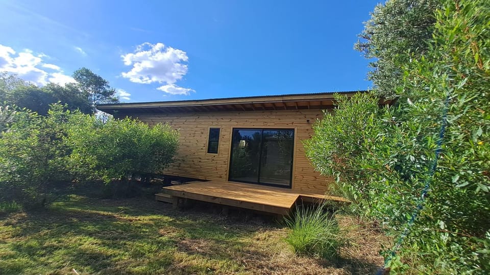 Property building, Garden, Garden view