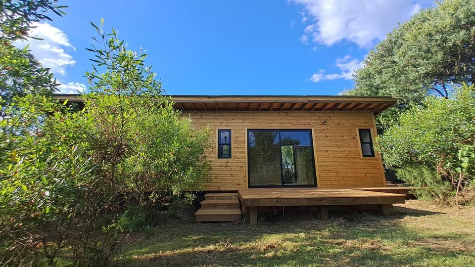 Property building, Garden, Garden view