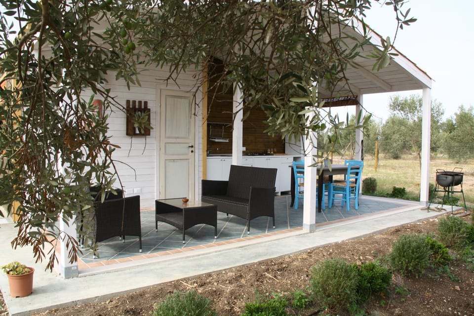 Patio, Garden, Kitchen or kitchenette, Living room, Photo of the whole room, Dining area
