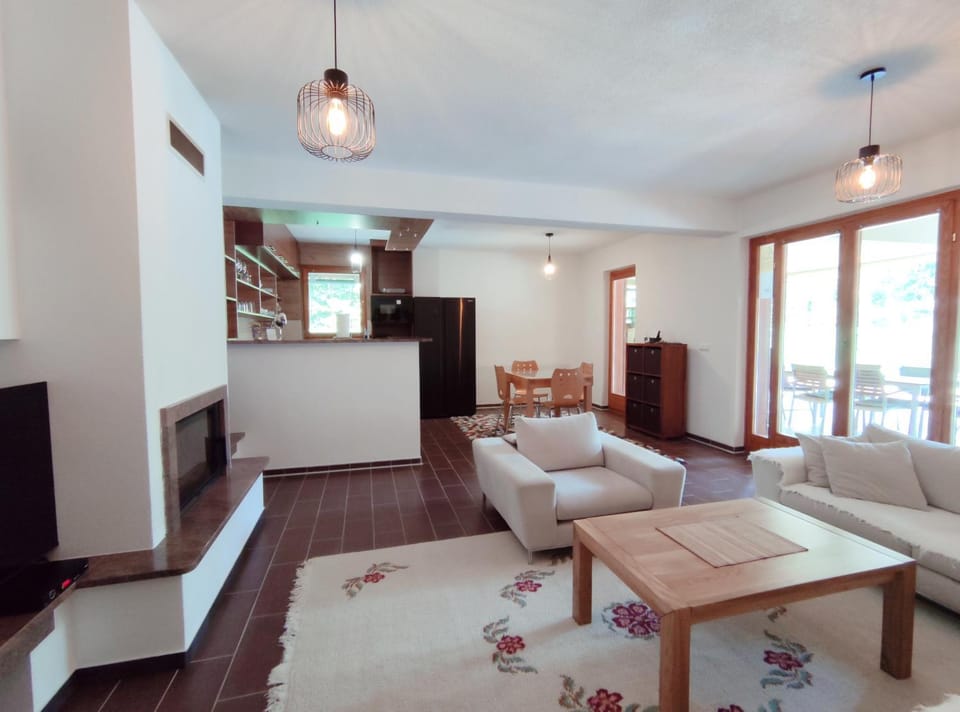 Living room, Photo of the whole room
