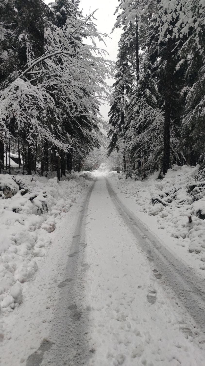 Neighbourhood, Natural landscape, Winter