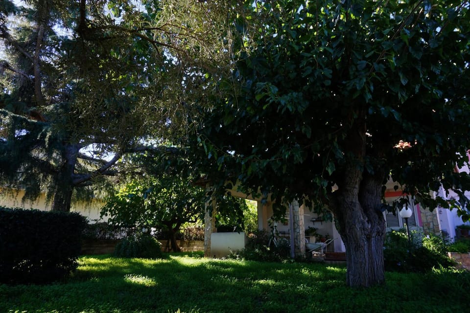Spring, Day, Natural landscape, Garden, Garden view