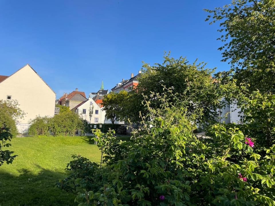 Stay centrally in a charming and peaceful neighborhood Apartment in Bergen