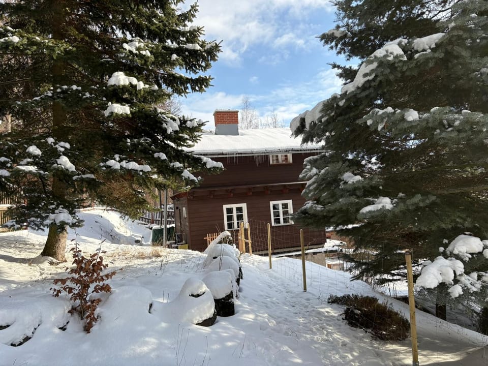 Property building, Garden