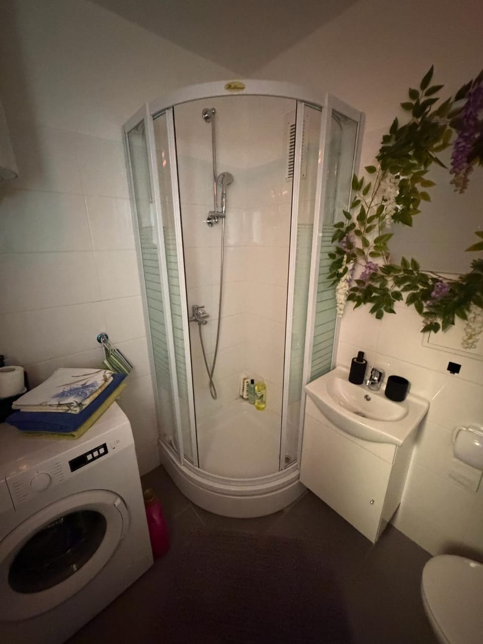 Shower, Toilet, Bathroom, towels, washing machine