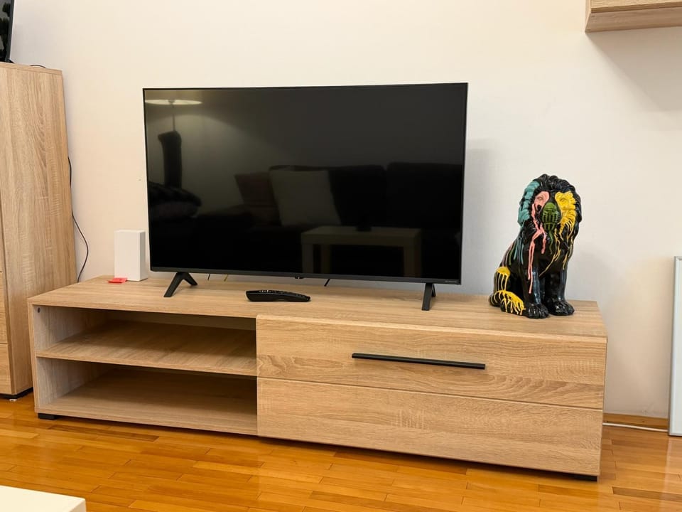 TV and multimedia