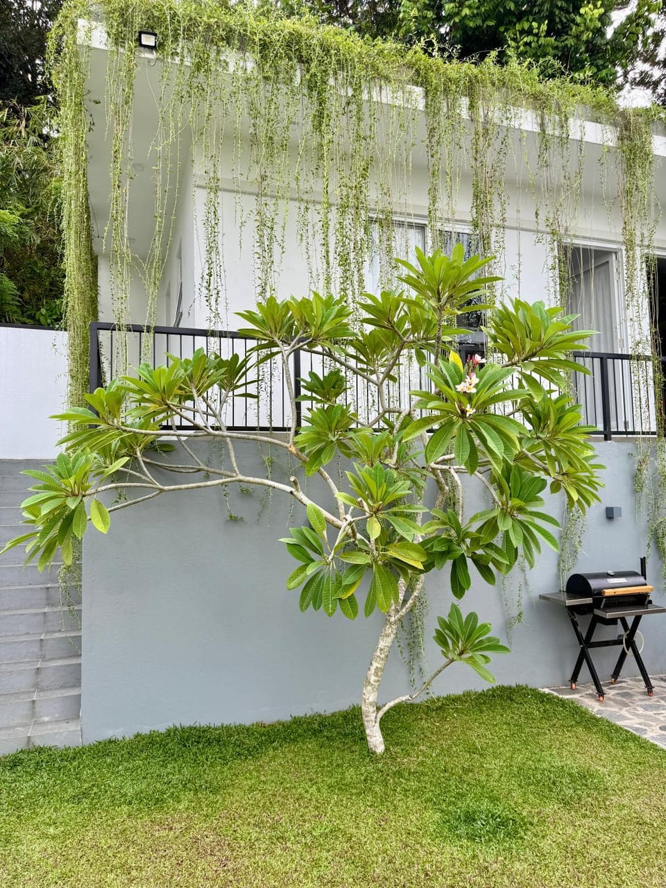 Property building, Garden, Balcony/Terrace, Garden view