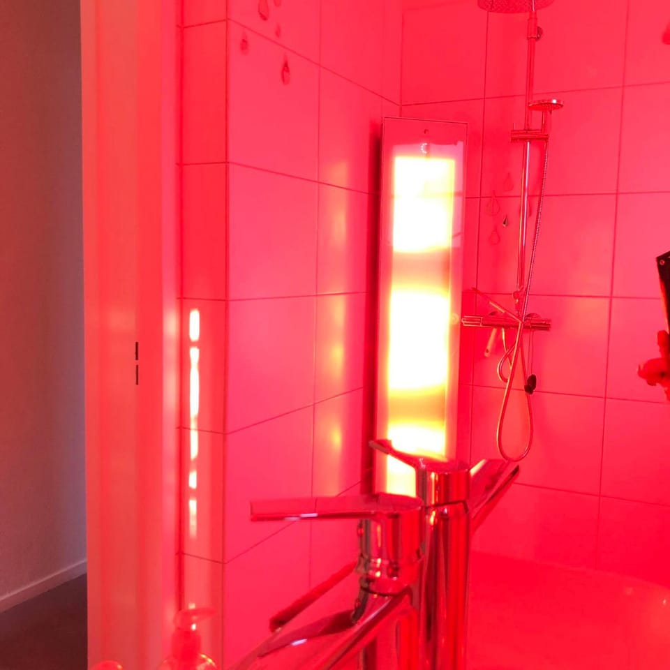 De Elysium 4-persoons met bubbelbad binnen én buiten hotspring bad, sauna, sunshower, stadstuin, wifi House in Gelderland, Netherlands