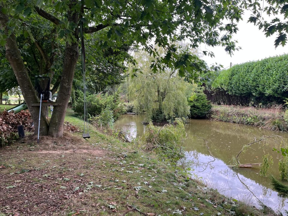 Lake view
