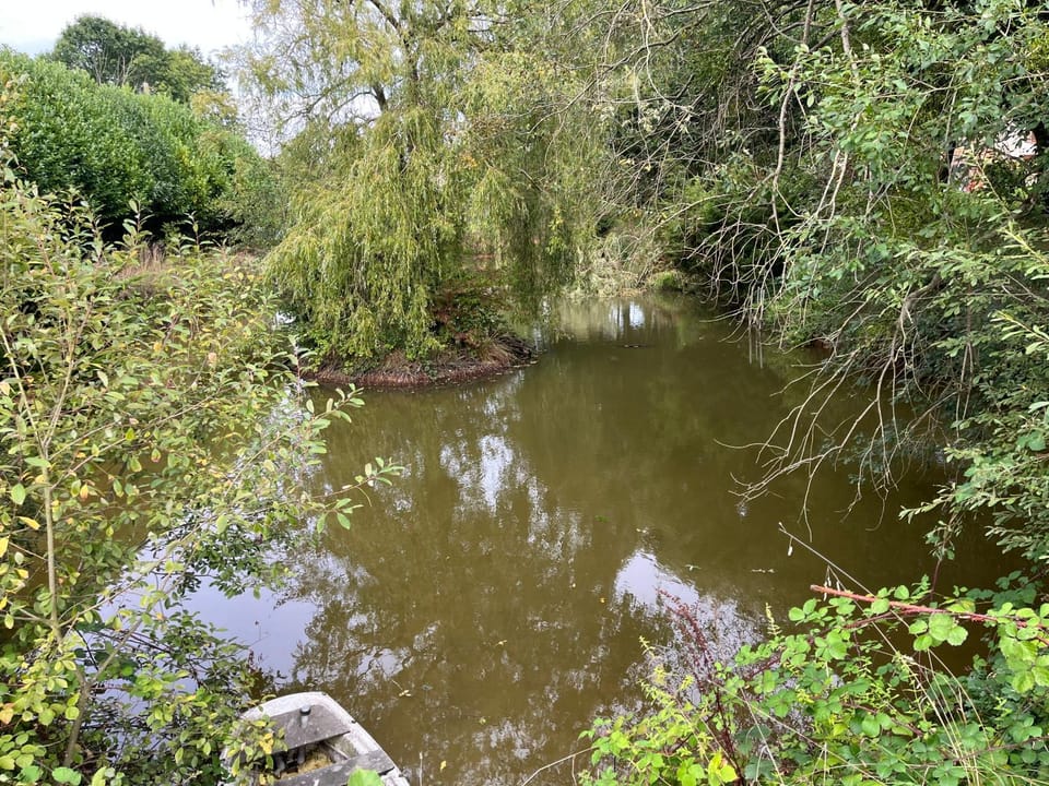 Garden, Lake view