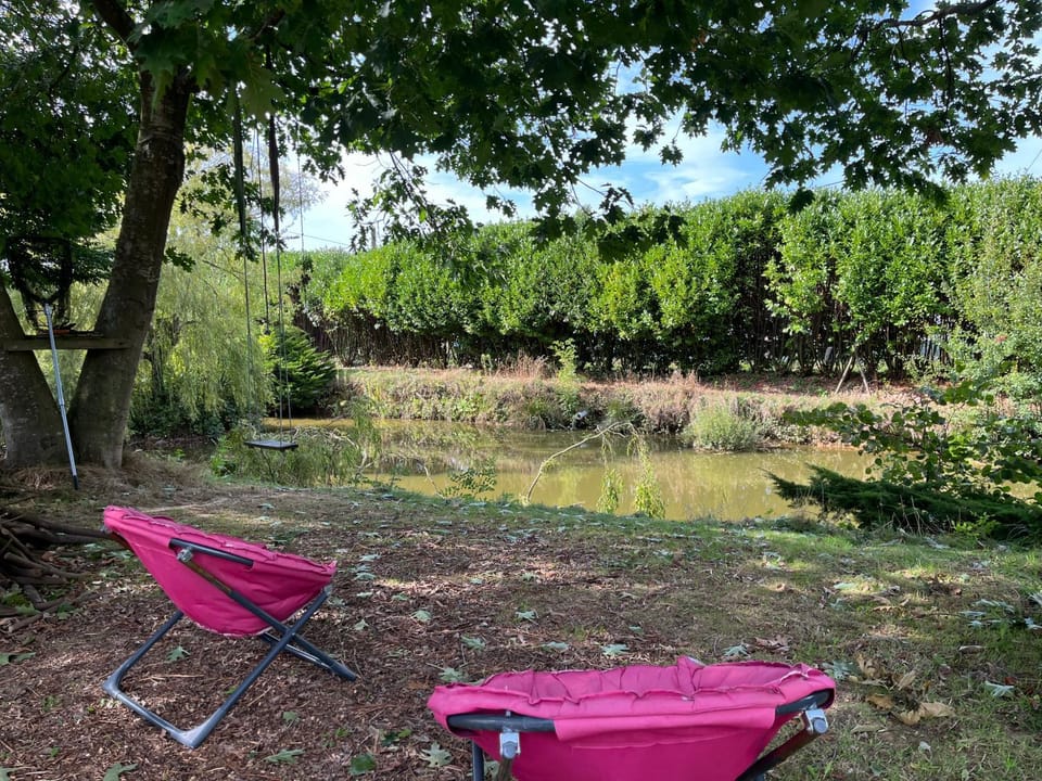 Garden, Lake view, sunbed