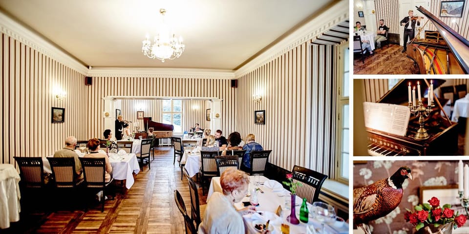 Restaurant/places to eat, group of guests