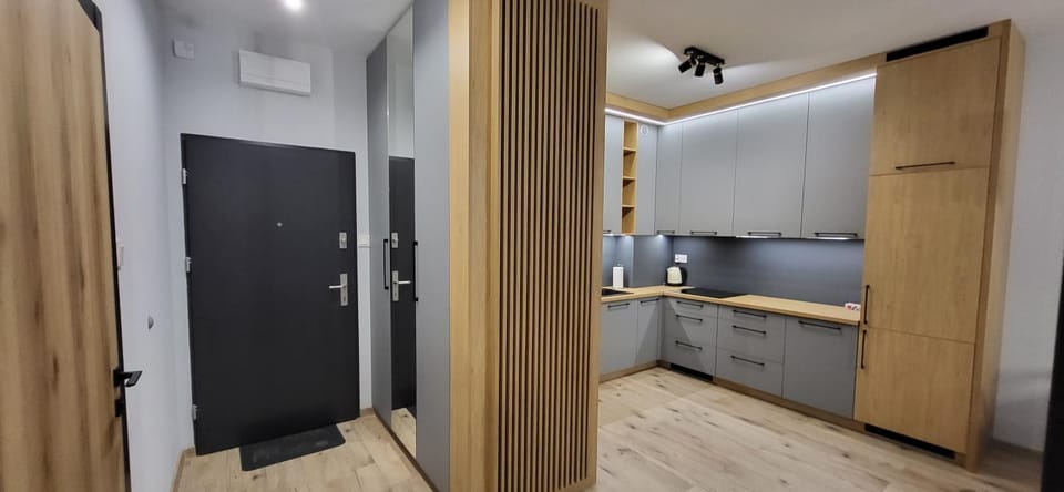 Kitchen or kitchenette, wardrobe