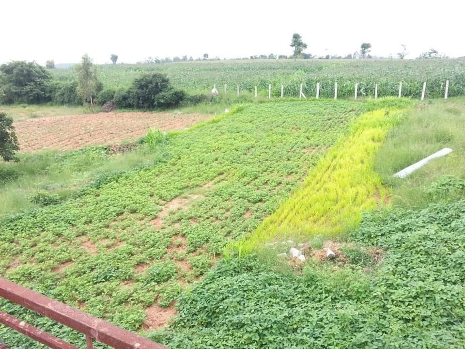 Natural landscape