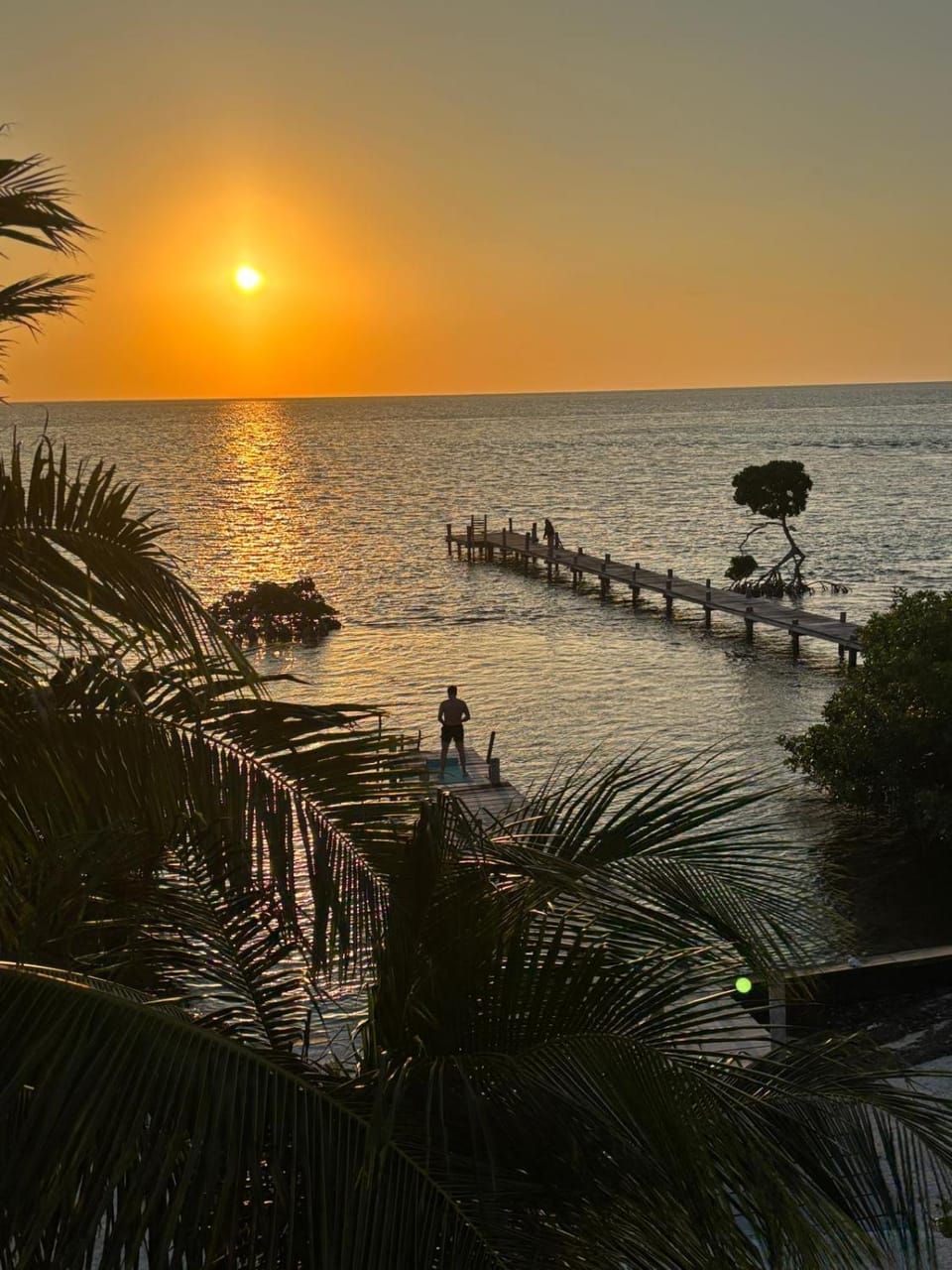 360 Suites - Seaside 6Bedroom Retreat Villa in Belize District