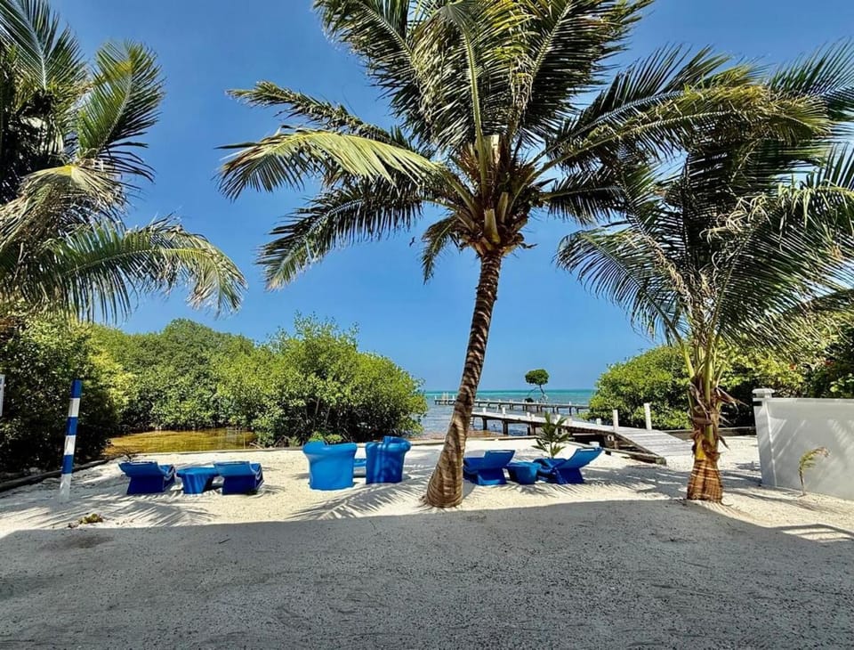 360 Suites - Seaside 6Bedroom Retreat Villa in Belize District