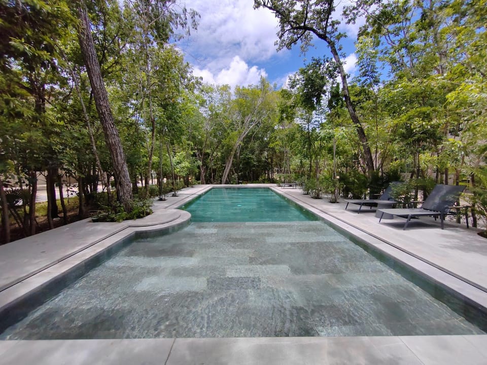 Day, Garden, Swimming pool