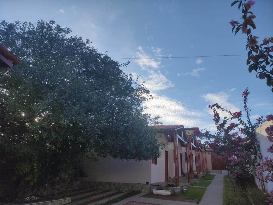 Day, Garden, Garden view