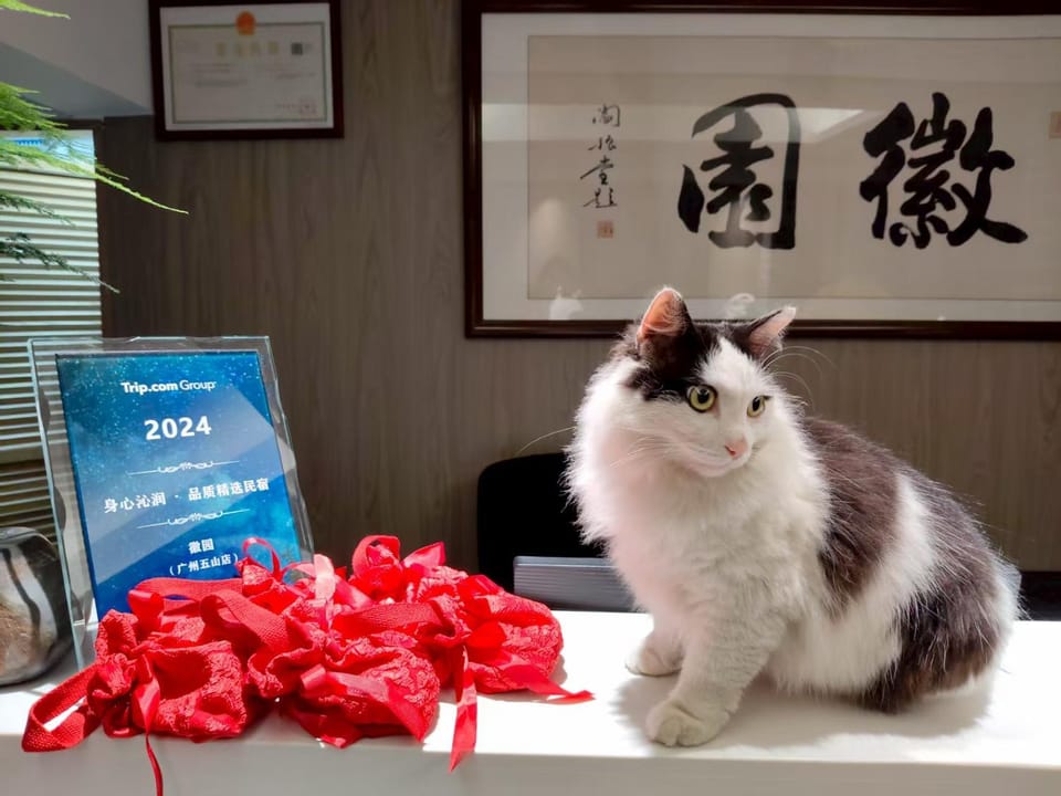Lobby or reception, Pets