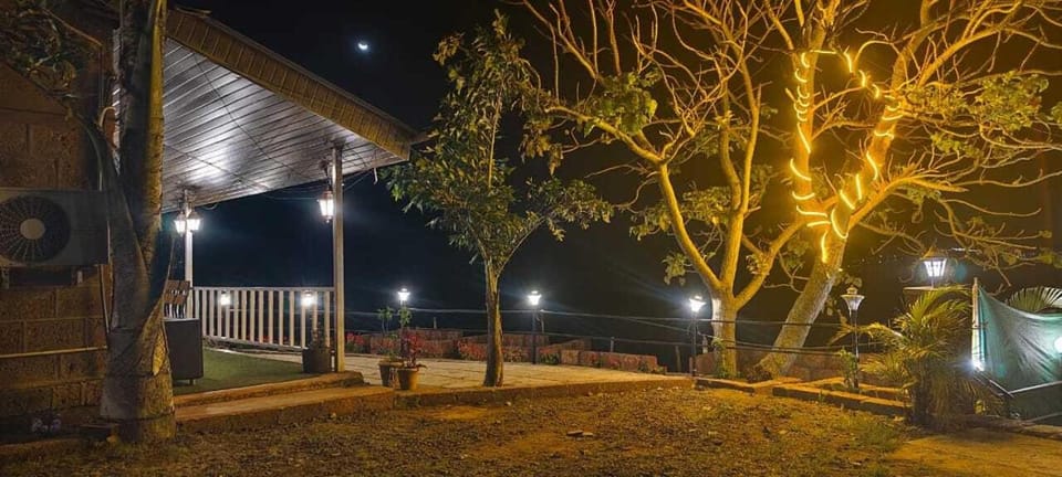 Night, Natural landscape, Garden, Garden view