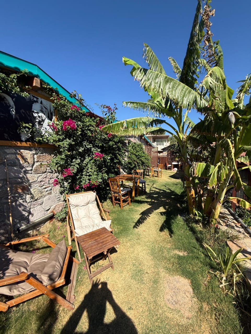 Garden view