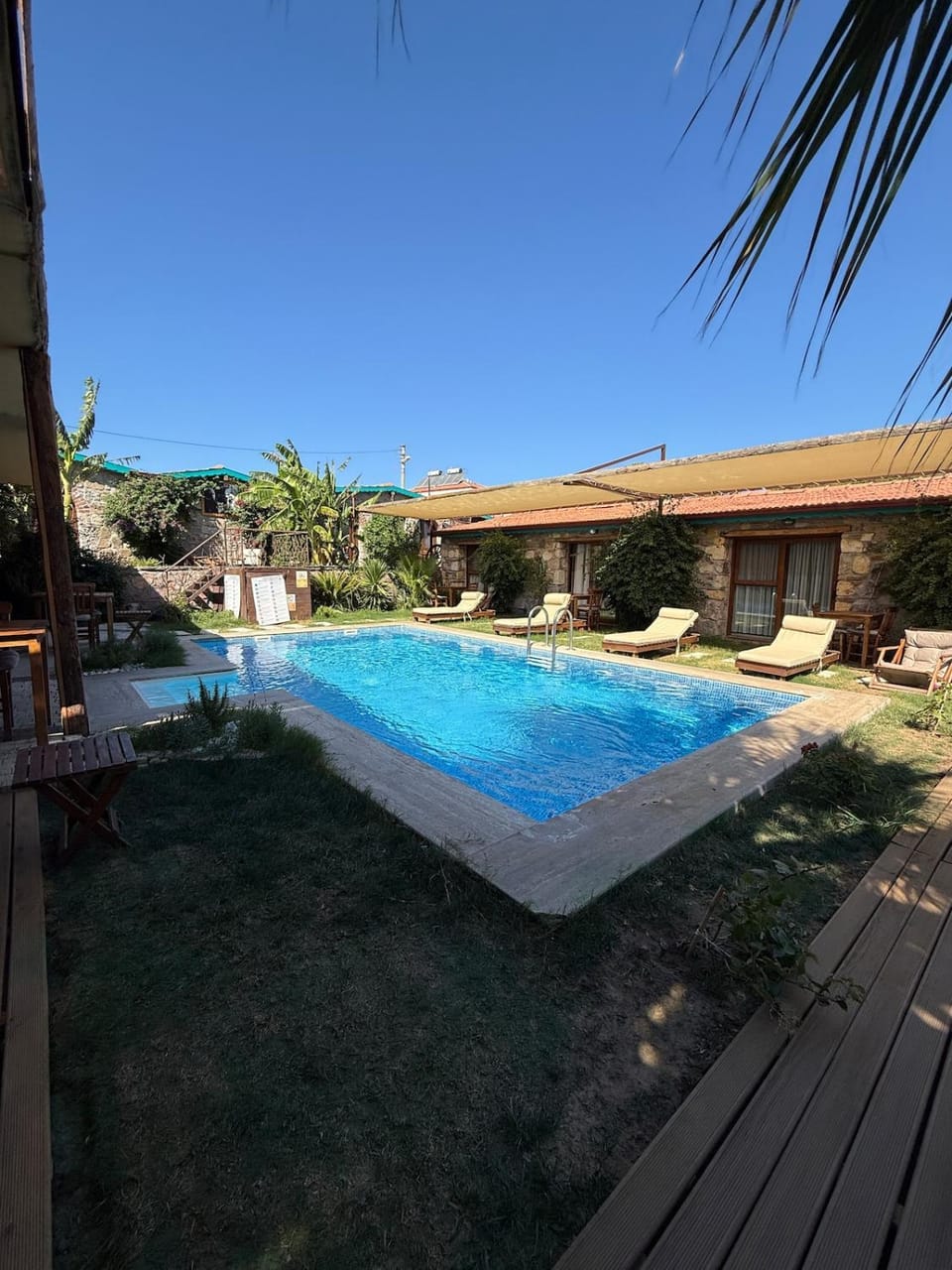 Garden, Pool view, sunbed