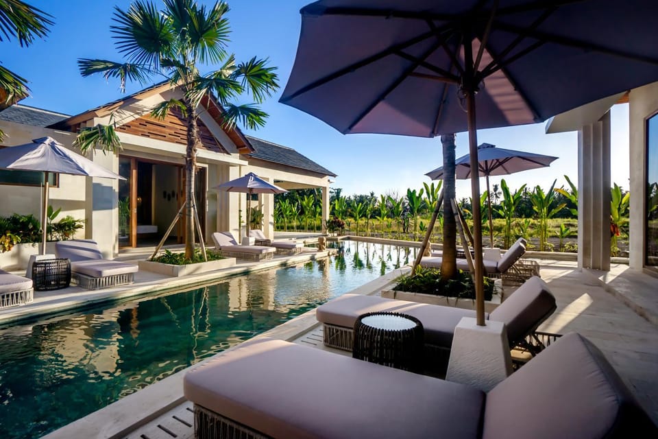 Property building, Day, Natural landscape, Pool view, Swimming pool, sunbed