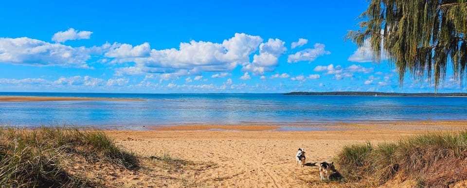 Natural landscape, Beach