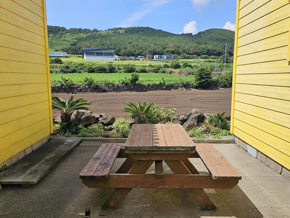 Udo Sunflower Pension House in South Korea