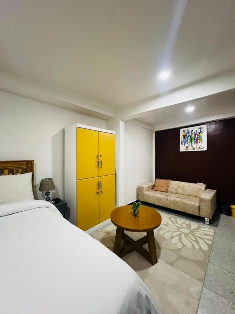Studio Room Apartment in Tanzania