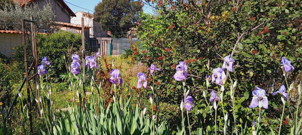 Sweet villa view 26 Apartment in Provence-Alpes-Côte d'Azur