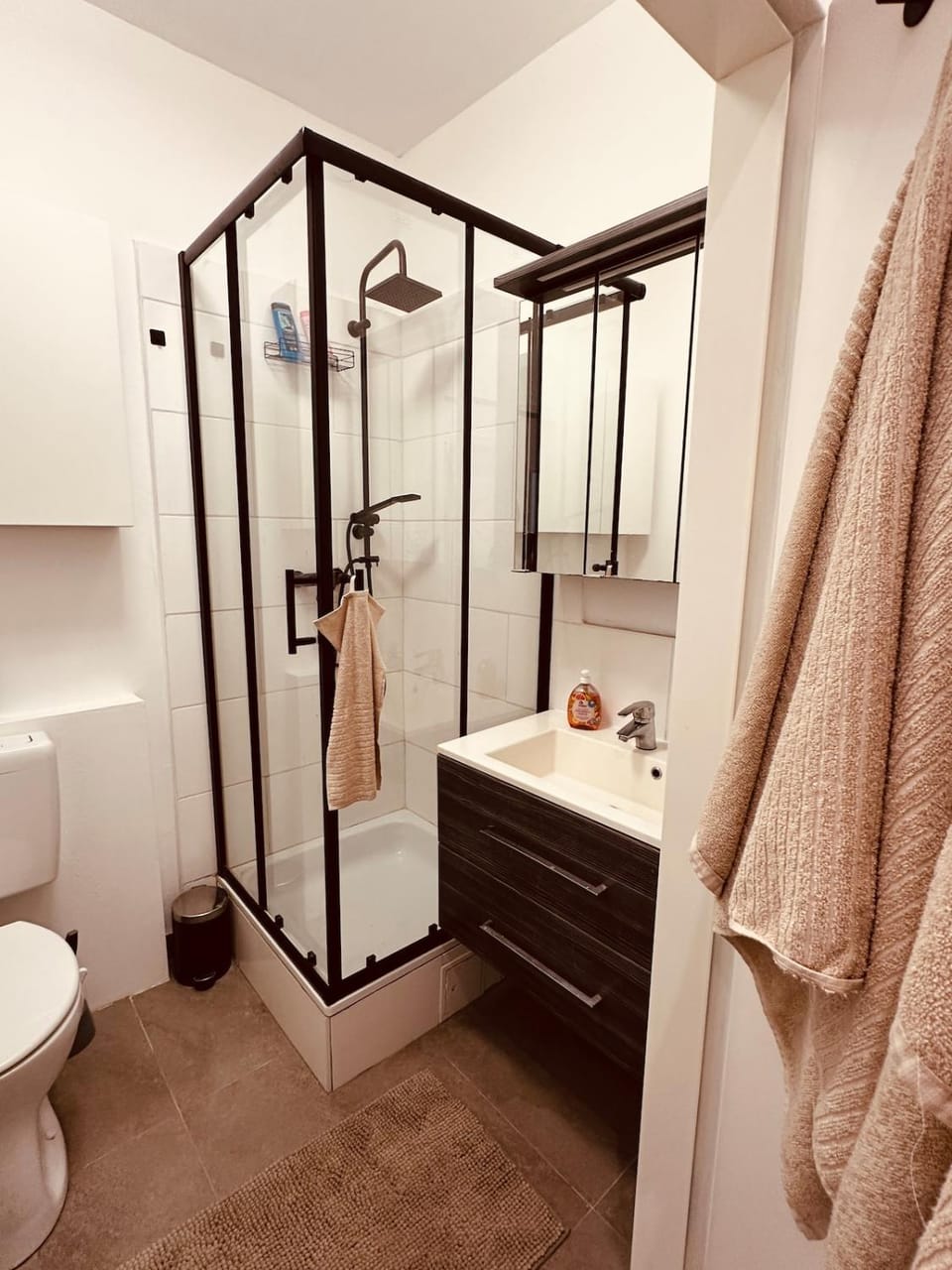 Shower, Toilet, Bathroom, towels, wardrobe