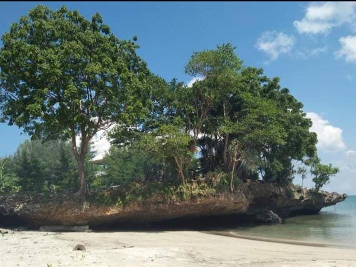 The Norsyah Villa selayar Bed and Breakfast in Indonesia