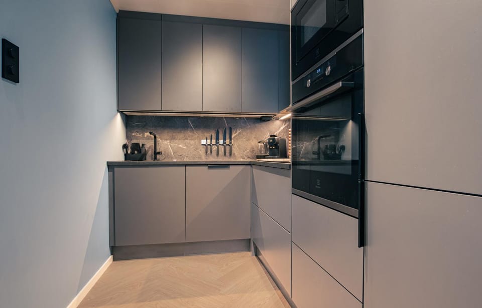 Kitchen or kitchenette, dishwasher, oven, stove