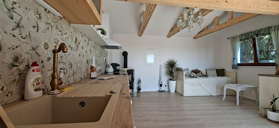 Kitchen or kitchenette, Living room, Seating area