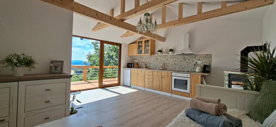 Kitchen or kitchenette, Living room
