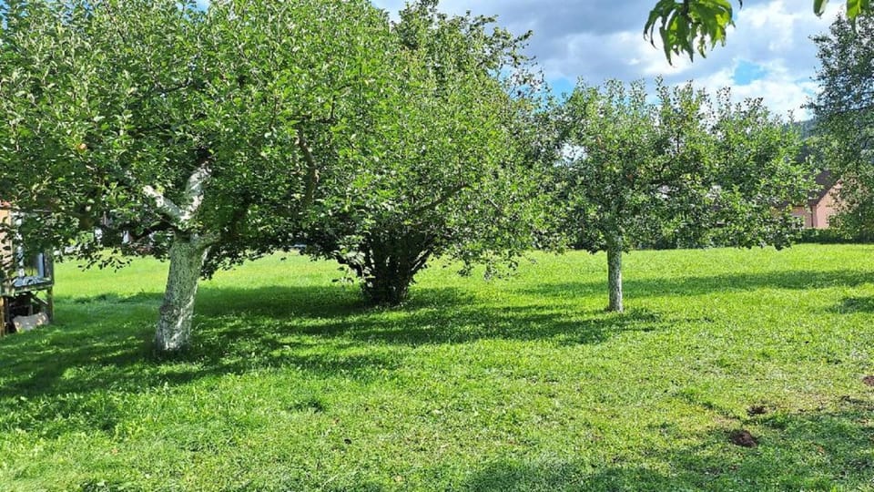Maringotka pod Lískou Campground/ 
RV Resort in Czechia