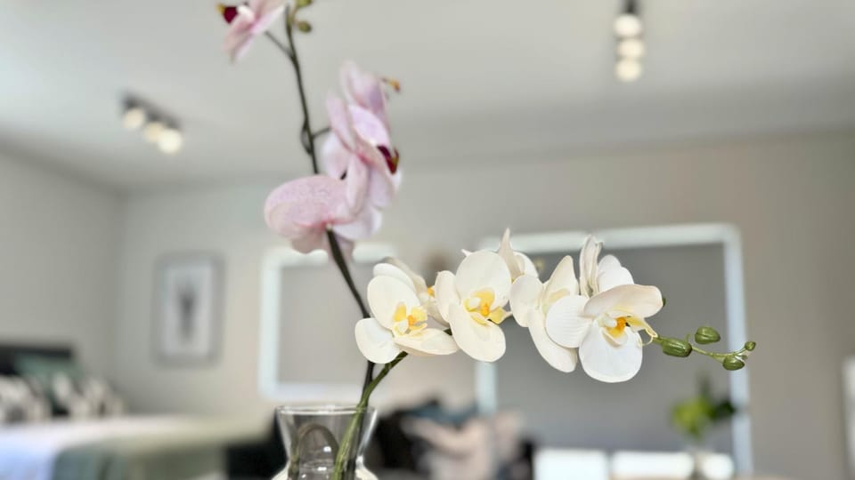 Obs Centre The Lookout Apartment in Cape Town