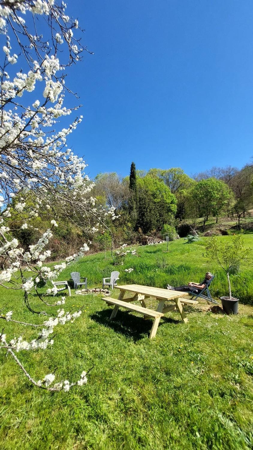 Spring, Natural landscape, Garden