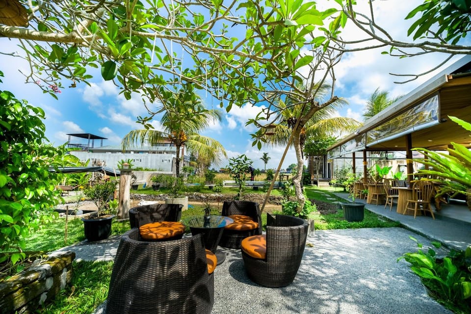 Patio, Spring, Day, Garden, Garden view
