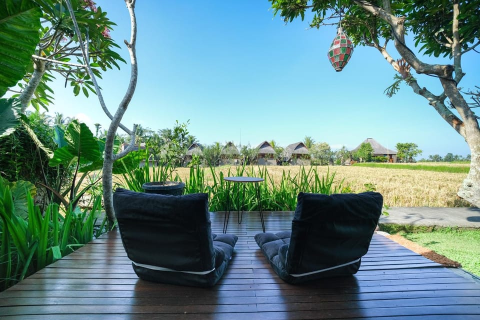 Spring, Day, Garden, Living room, Seating area, Garden view
