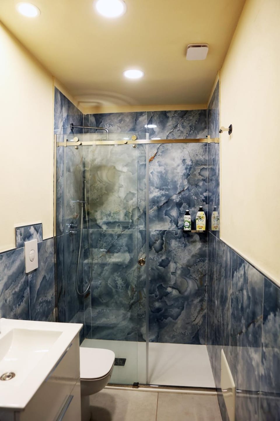 Zibakhome Apartment in Campania