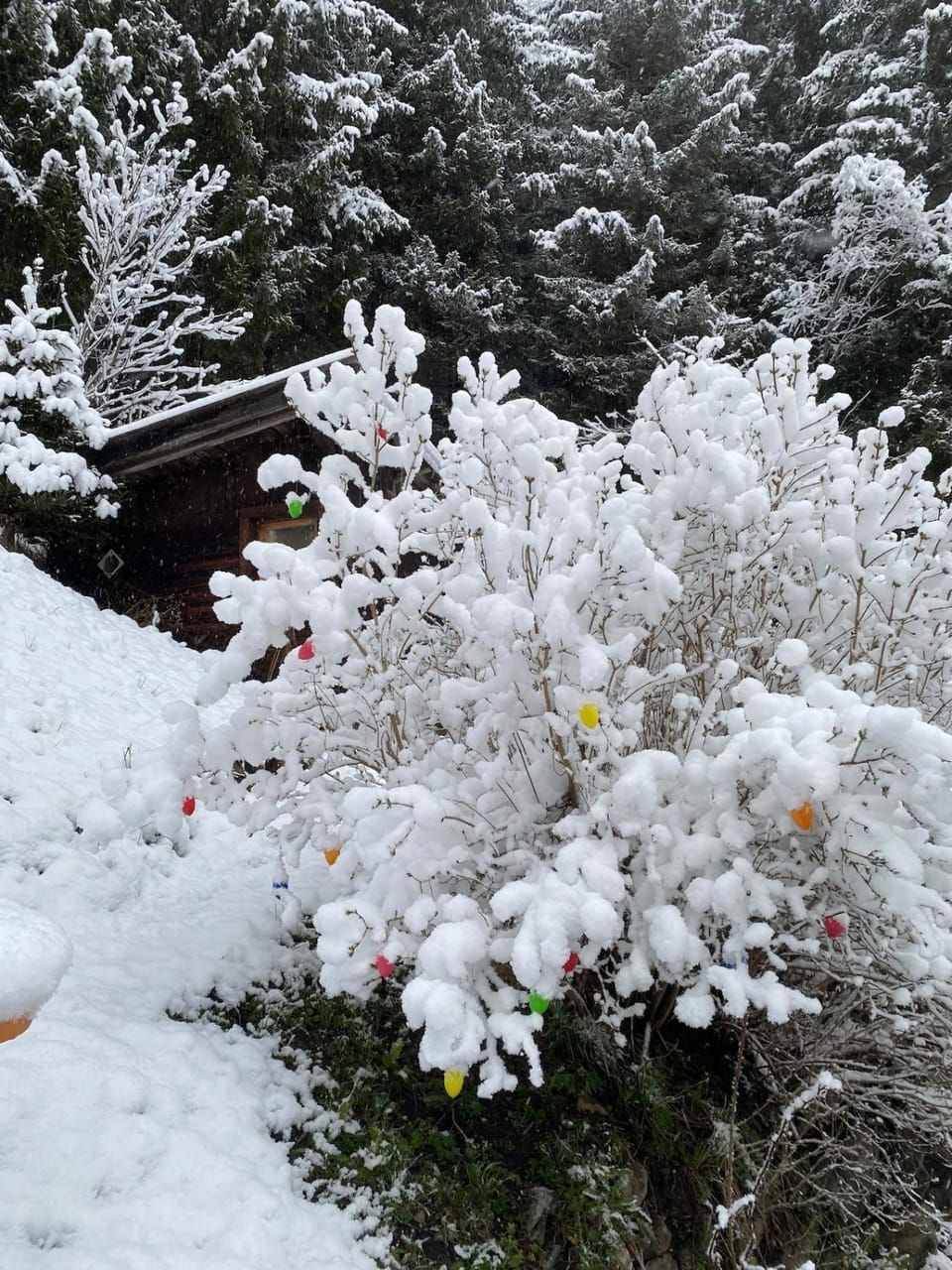 Winter, Garden, Garden, Garden view, Garden view