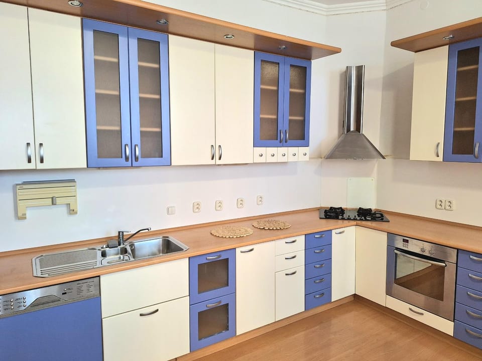 Kitchen or kitchenette, dishwasher, stove
