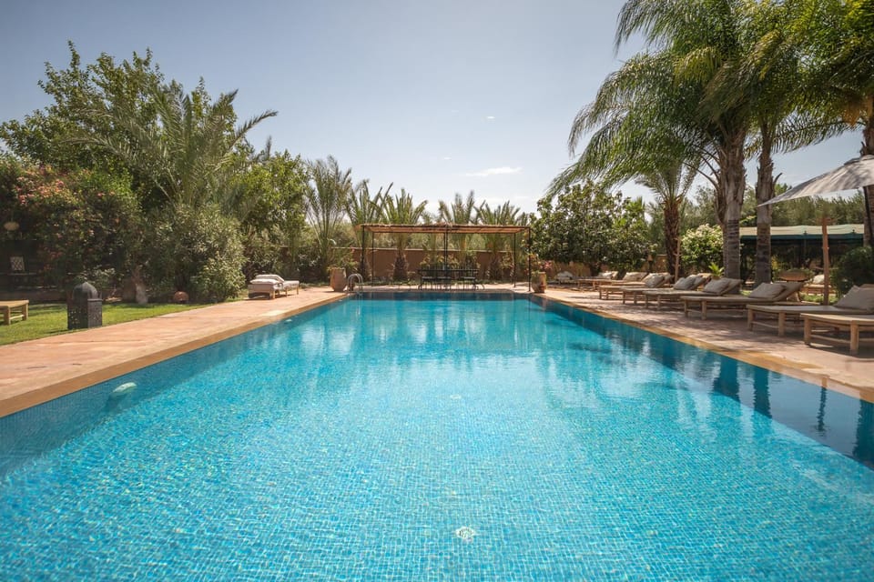 Garden, Swimming pool, sunbed