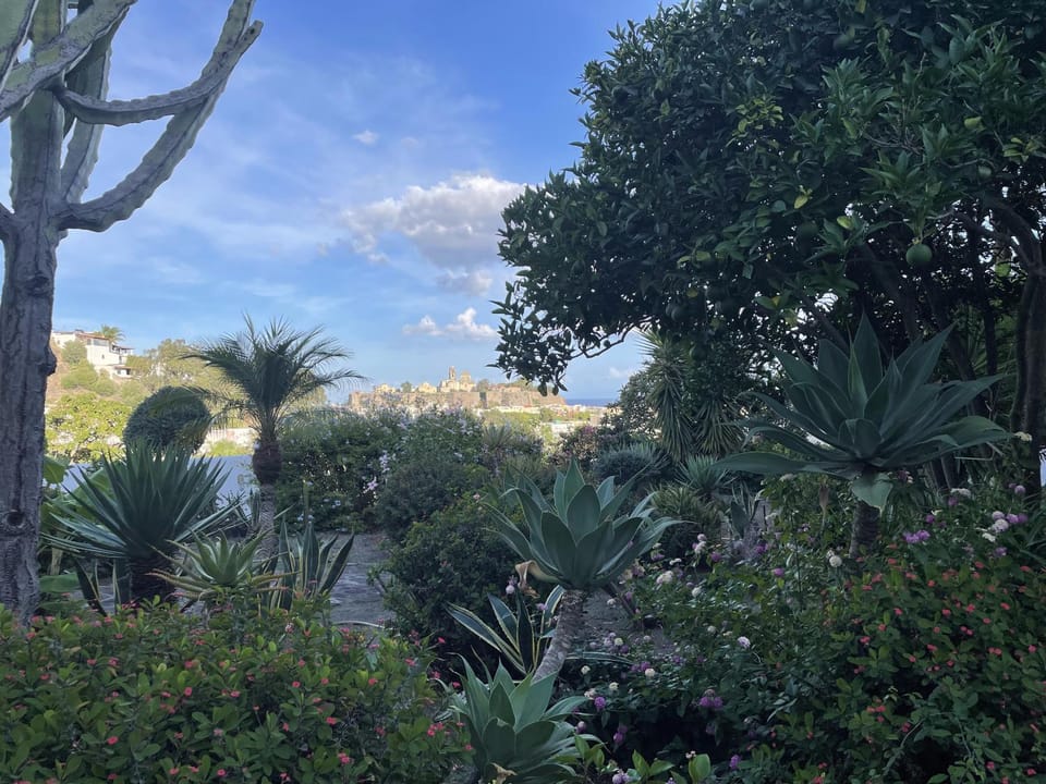 Garden view